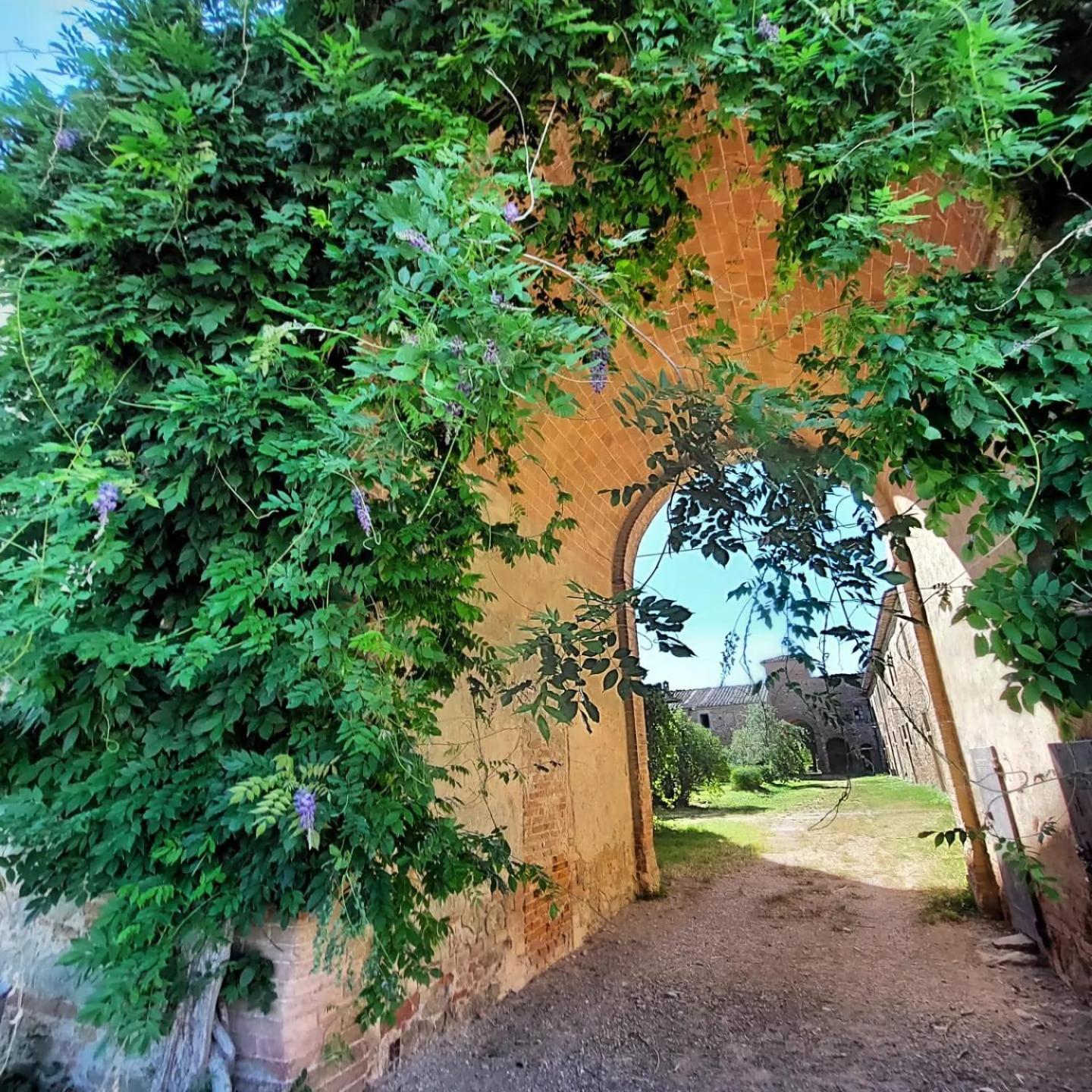 Tenuta La Fratta Sinalunga Kültér fotó